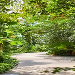 Mobile Im Tropical Islands Semesterbostad