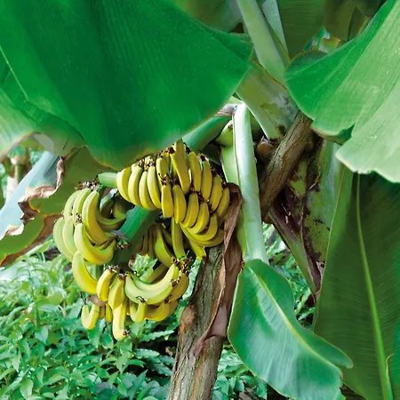 Mobile Im Tropical Islands Prázdninový dům Krausnick