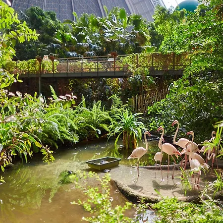 Mobile Im Tropical Islands Krausnick