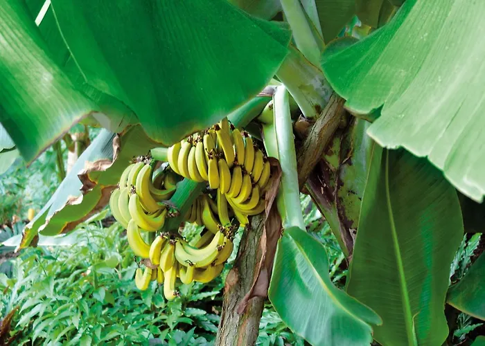 Mobile Im Tropical Islands Prázdninový dům Krausnick