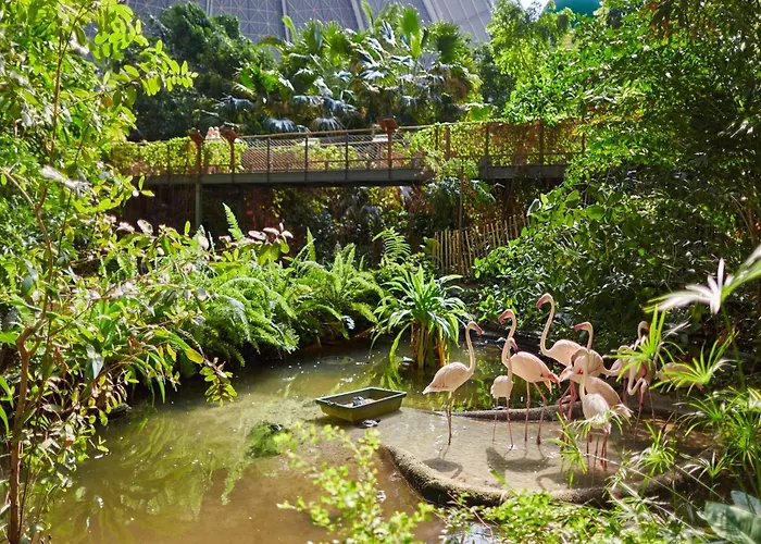 Mobile Im Tropical Islands 크라우스닉